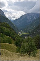 DSC_7961.JPG