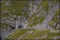 DSC_8005.JPG