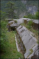 DSC_8079.JPG