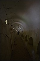 DSC_8095.JPG