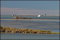 DSC_8216C.jpg