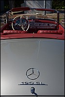 DSC_8223.JPG