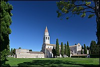 DSC_8237Sh.jpg