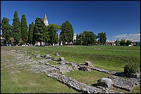DSC_8240.JPG