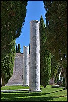 DSC_8245DF.jpg