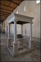 DSC_8283.JPG