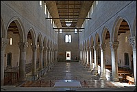 DSC_8305DGpt.jpg