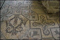 DSC_8352K.jpg