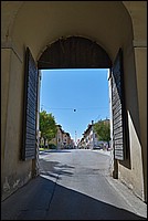 DSC_8418CG.JPG
