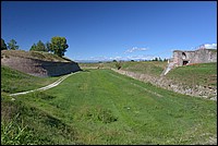 DSC_8422.JPG