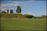 DSC_8509G.jpg