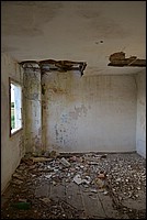 DSC_8519CD.jpg