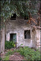 DSC_8529FCo.jpg