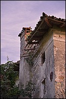 DSC_8534DFG.jpg