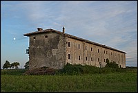 DSC_8538.JPG