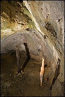 DSC_8619.JPG