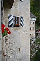 DSC_8624DG.jpg