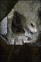 DSC_8646.JPG
