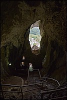 DSC_8649DG.jpg