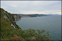 DSC_8690.JPG