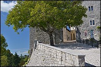 DSC_9223.JPG