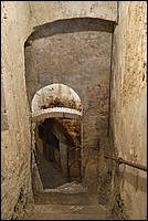 DSC_9251.JPG