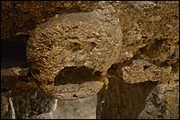 DSC_9253.JPG