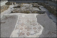 DSC_9276Dpt.jpg