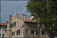 DSC_9279.JPG