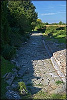 DSC_9427CE.jpg