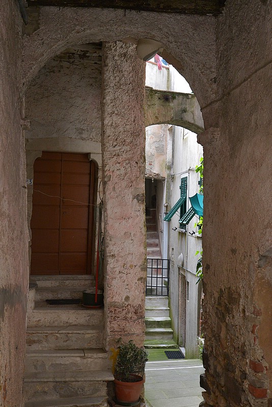 DSC_0206.JPG
