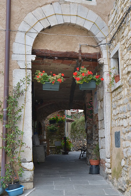 DSC_0209.JPG