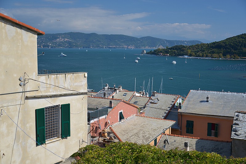 DSC_0502.JPG
