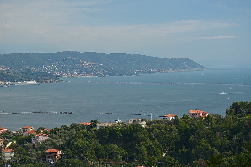 DSC_0551BG.jpg