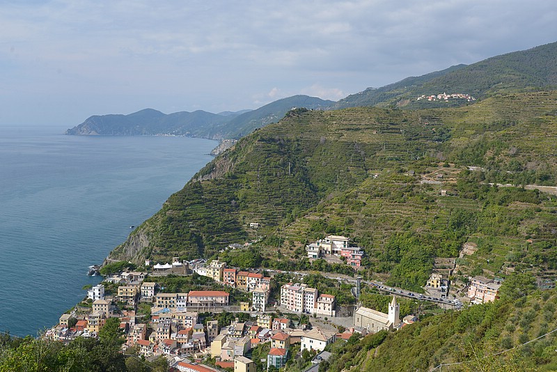 DSC_0557.JPG