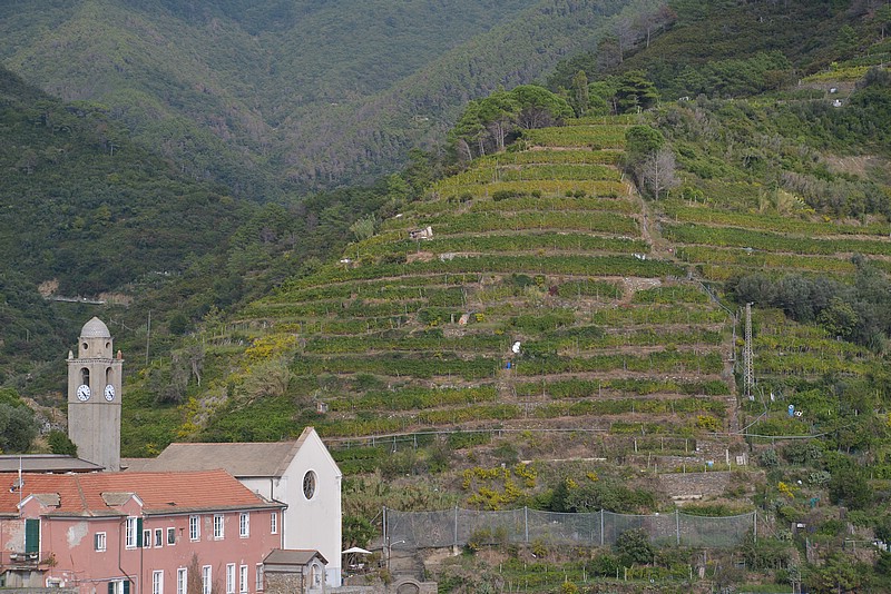 DSC_0634.JPG