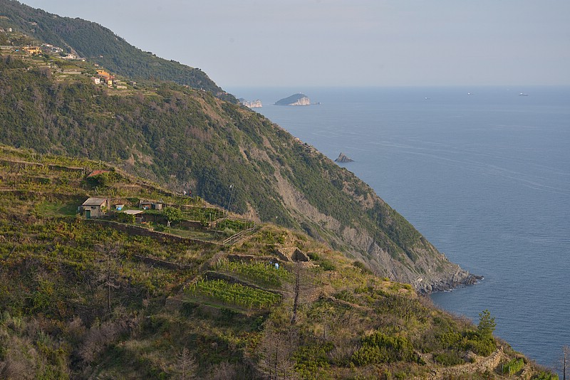 DSC_0649.JPG