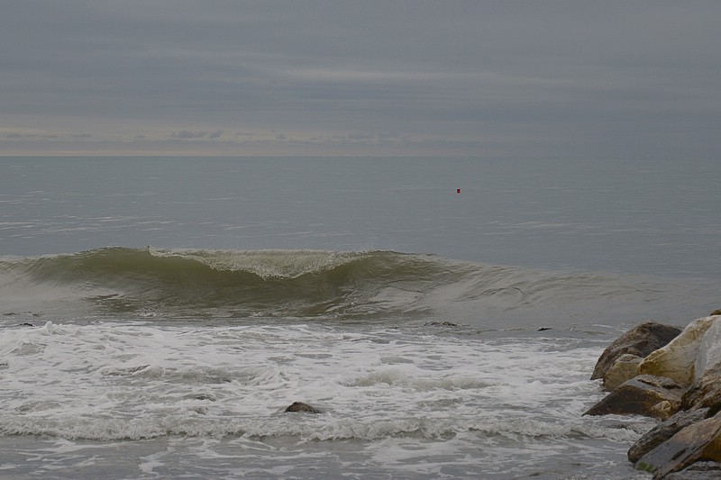 DSC_1274C.jpg