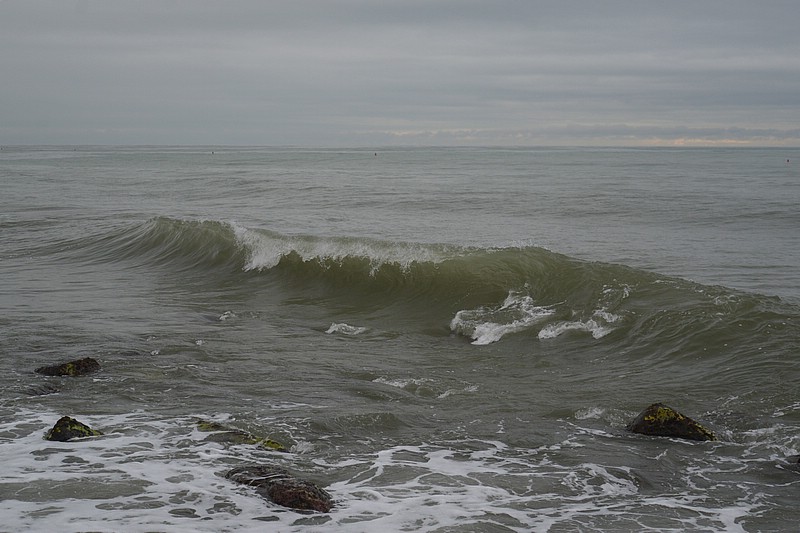DSC_1471C.jpg