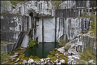 DSC_0736.JPG
