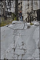 DSC_0742C.jpg