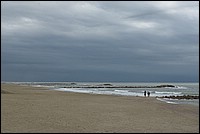 DSC_0879.JPG