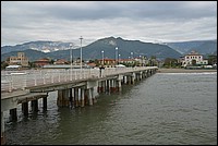 DSC_1118.JPG