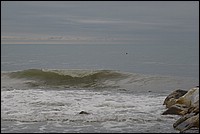 DSC_1274C.jpg