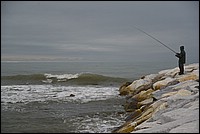 DSC_1329.JPG