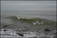 DSC_1471C.jpg