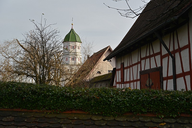 DSC_1465G.jpg