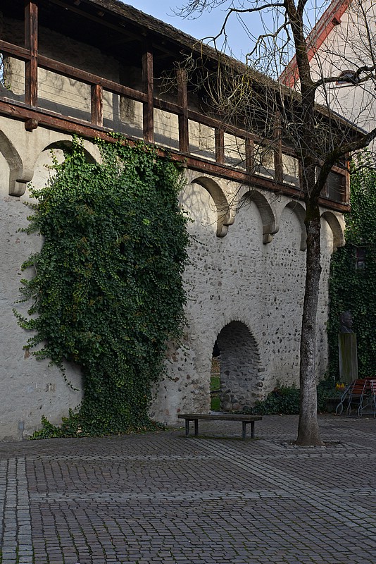 DSC_1481GK.jpg