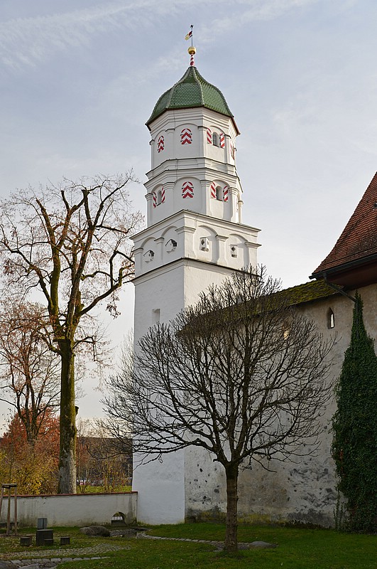 DSC_1488DG.jpg