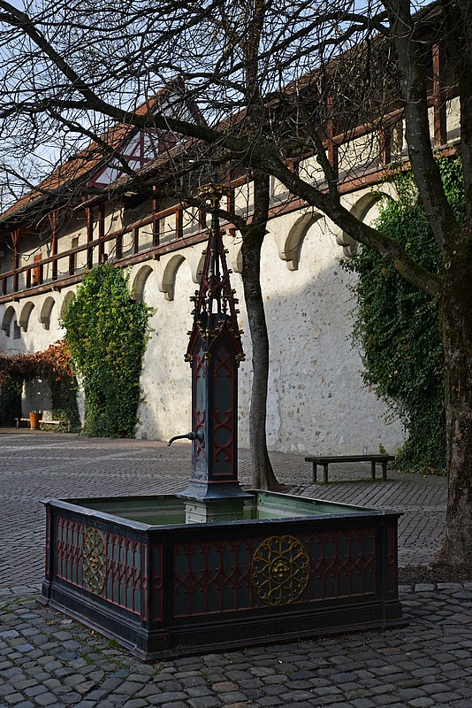 DSC_1491G.jpg